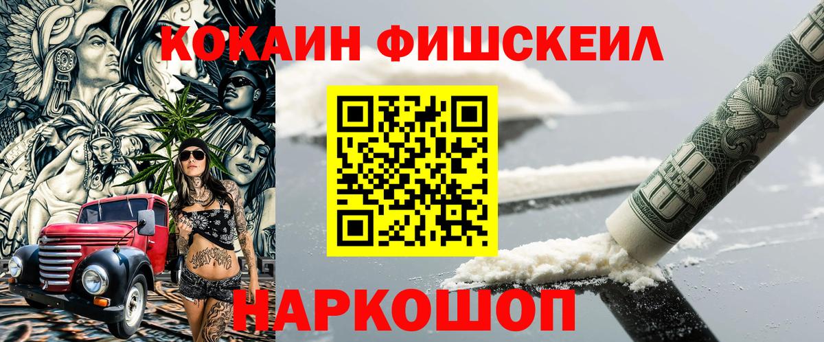 Кокаин FishScale  сколько стоит  Кокаин Columbia  Заводоуковск 