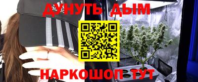 наркотики Гатчина