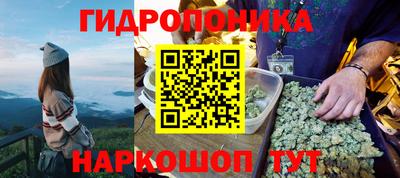 крисы Гай