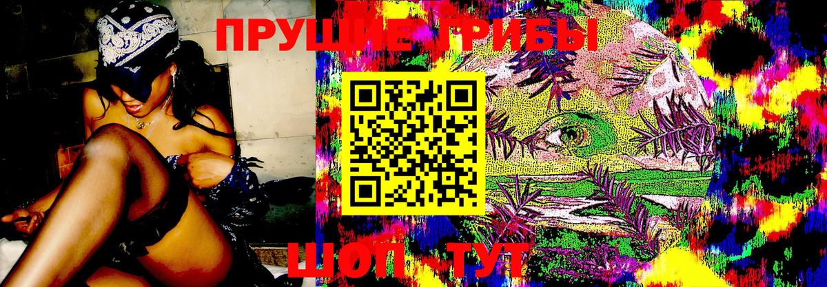 Галлюциногенные грибы Psilocybe  Вход с VPN  Заводоуковск 