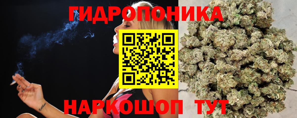 Конопля планчик  Конопля план  Шишки марихуана ГИДРОПОН  Вход с VPN  Заводоуковск 